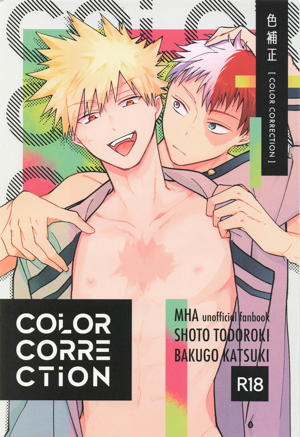 COLOR CORRECTION