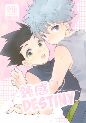 鈍感DESTINY