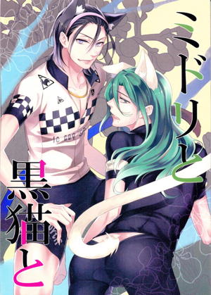 ミドリと黒猫と